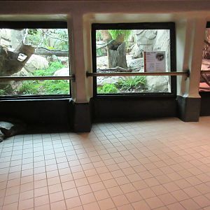 Two-toed Sloth + Southern African Python Exhibits