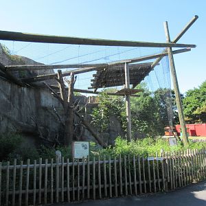 Kookaburra Aviary - huge!