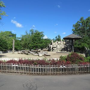 White Rhino Exhibit (old elephant yard)