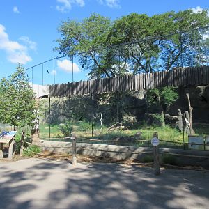 1928 African Lion Exhibit - Expanded in 2011