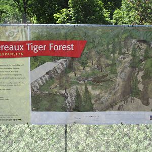 Future Amur Tiger Exhibit - New in 2019