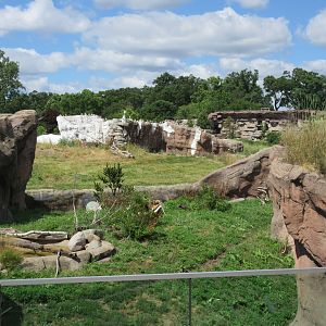 Arctic Fox + Polar Bear + Grizzly Bear Exhibits Panorama