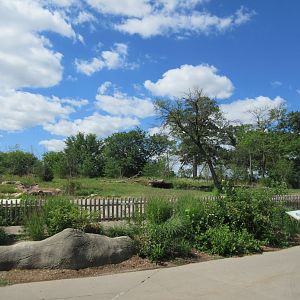 2-Acre Grey Wolf Exhibit - New in 2015