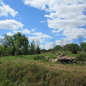 2-Acre Grey Wolf Exhibit - New in 2015