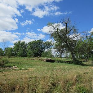 2-Acre Grey Wolf Exhibit - New in 2015