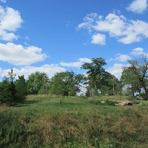 2-Acre Grey Wolf Exhibit - New in 2015