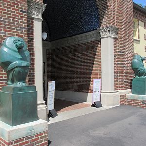 Wildlife Interpretative Gallery - Baboon Guards