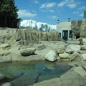 Polar Bear Exhibit