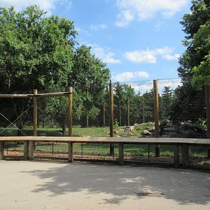 Grey Wolf Exhibit