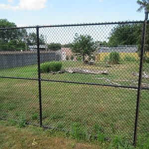 Dingo/Maned Wolf Rotational Yard