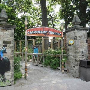 Cassowary Exhibit