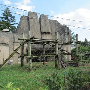 Andean Bear Exhibit