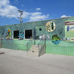 Hellbender Conservation Center