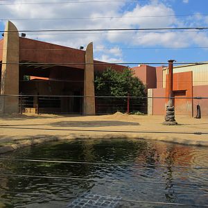 Tembo Trail - African Elephant Exhibit