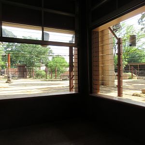 Tembo Trail - African Elephant Exhibit