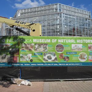 1938 Museum - Reopening in 2019