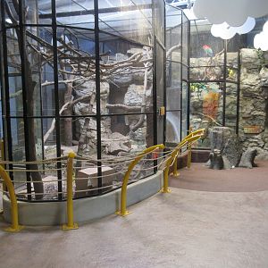 Children's Zoo - Mara + Macaw Exhibits