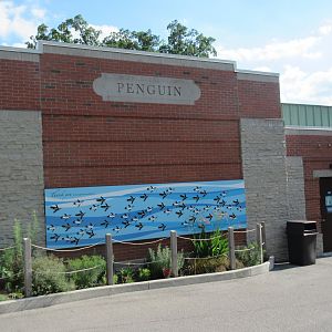 African Penguin Exhibit