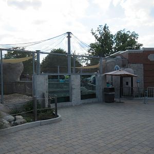 African Penguin Exhibit