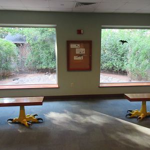 1937 Aviary - Demoiselle Crane Exhibit