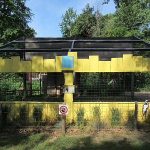 East African Crowned Crane Exhibit