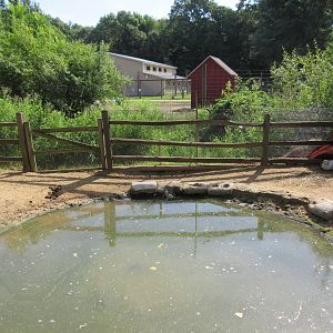 Capybara Exhibit