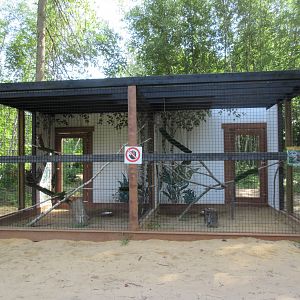 Great Horned Owl + Barred Owl Exhibits
