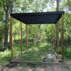 Future Raptor Aviary