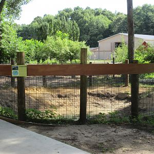 American Alligator Exhibit (currently empty)