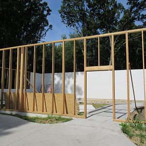 Future Exhibit - Tropical Building?