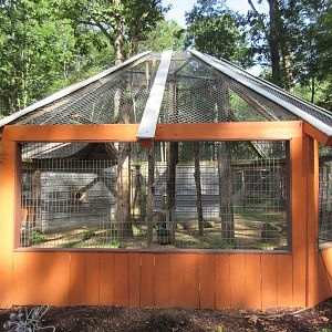 Pig-tailed Macaque Exhibit