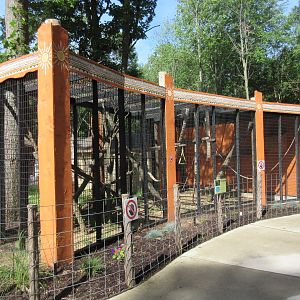 Ring-tailed Lemur Exhibit