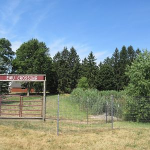 Emu/Black Swan Exhibit