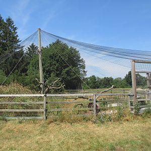 Black Vulture/Wild Turkey Aviary