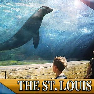Zoo Tours: Sea Lion Sound