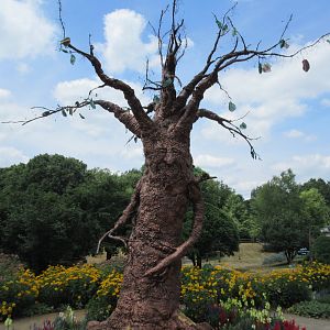 An interesting tree!