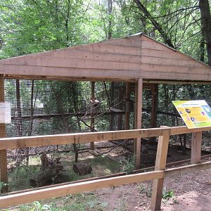 Northern Flying Squirrel Exhibit