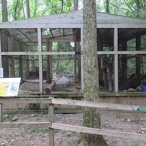 Mink Exhibit