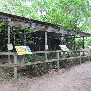 Bird Aviaries (3 Species)