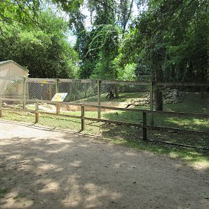 Beaver Exhibit