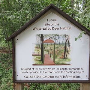 Future White-tailed Deer Exhibit