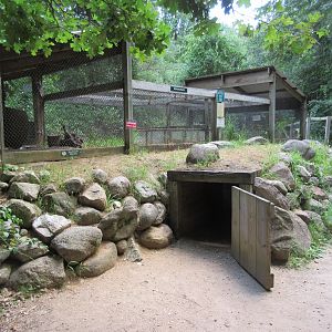 Woodchuck Exhibit