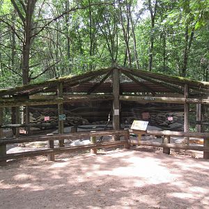 Arctic Aviary - Snowy Owl Exhibits