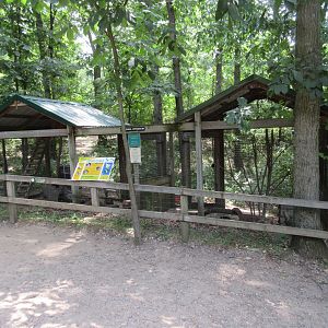 Virginia Opossum Exhibit