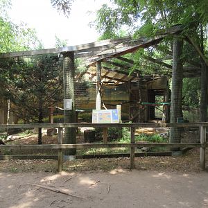 Red-tailed Hawk + Turkey Vulture Exhibits