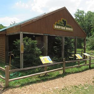 Raptor Center
