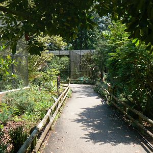 View towards aviaries - 6 July 2018