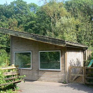 Abbott's Grey Gibbon house - 6 July 2018