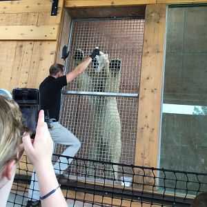 2016 | Polar Bear "Sakari" Session