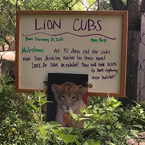 Ansel and Amboseli Sign | Henry Vilas Zoo